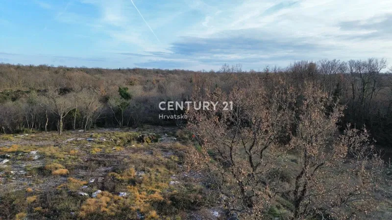 Porec, surroundings, combination of building and agricultural land in a quiet location – 3