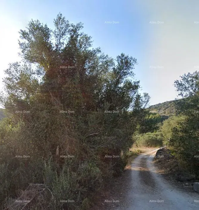 Telek Korčula – 2