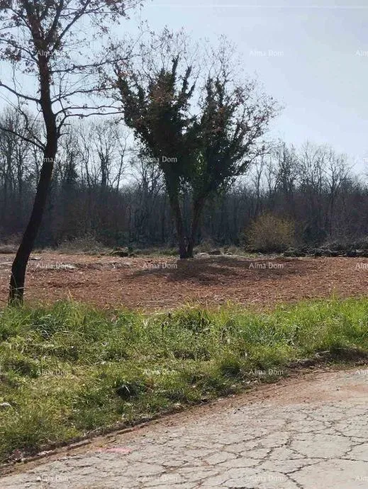 Land 2765 m² in a Quiet Location – Poreč – 3
