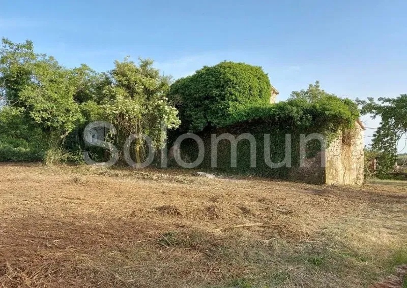 VIŽINADA-old authentic Istrian stone house – 3