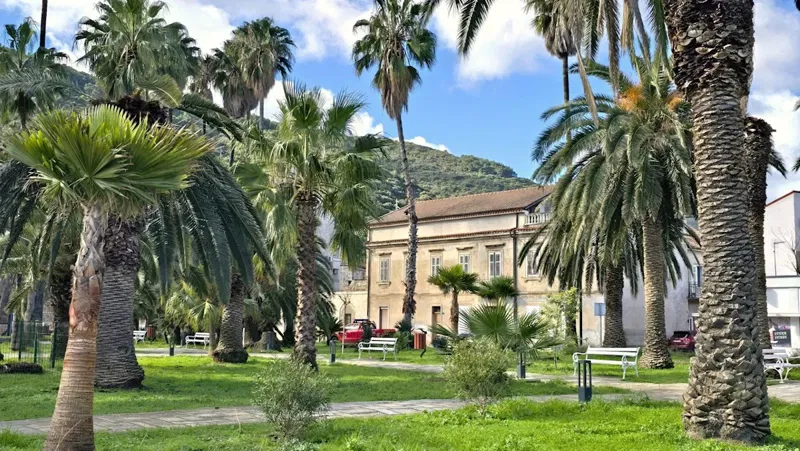 Dom Vis – 2