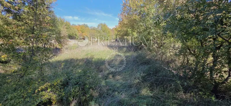 Vrbnik, okolica, prodaja građevinskog zemljišta, prilika za investitore! – 2