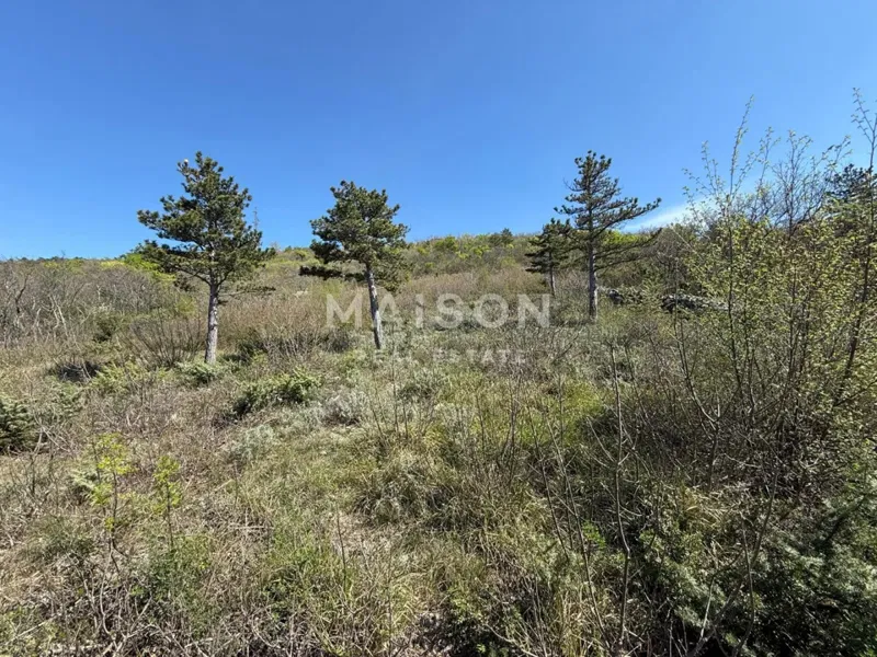 Land Crikvenica, 2.929m2 – 2
