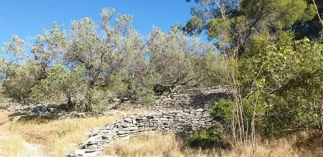 Terreno edificabile in vendita, Korčula – 3