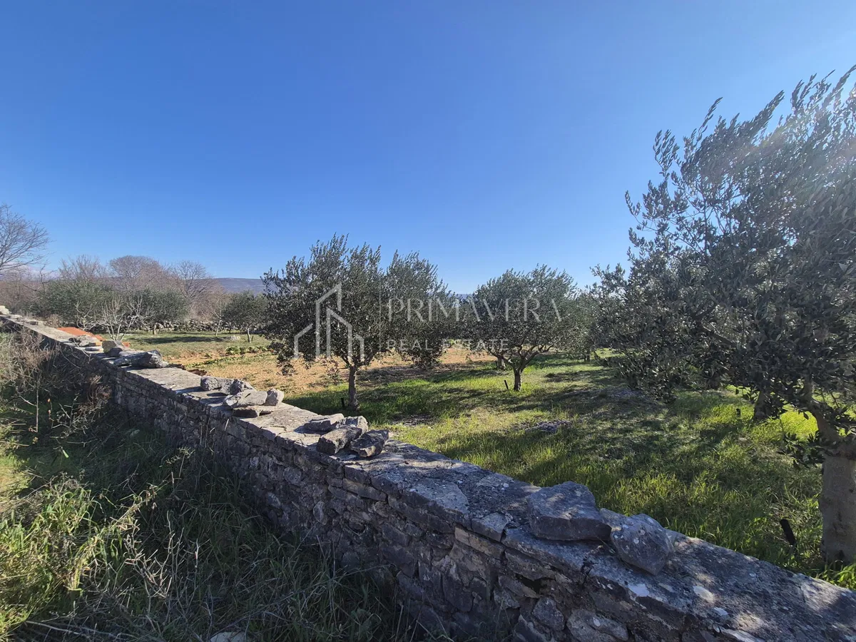 Pridraga, građevinsko zemljište, 936 m2