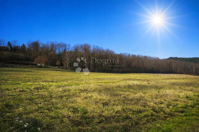 Vonzó építési telek 12 900 m² – Pazin, felosztásra kész