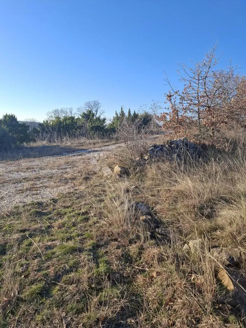 Agricultural land Jovići, Ražanac, 2.500m2 – 2
