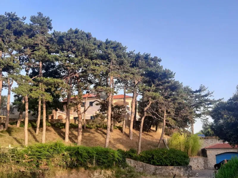 Ház Lopar, Rab, 473m2 – 2