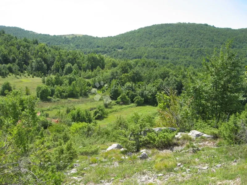 Casa Grab, Gračac, 324m2 – 2