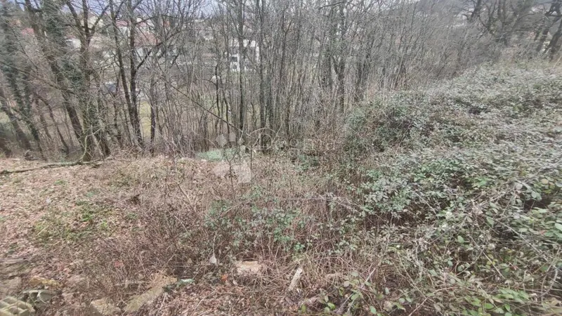 Építési telek Čavle, 2.680m2 – 3