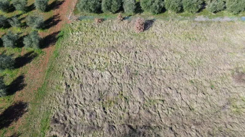 Építési telek Kaštelir, Kaštelir-Labinci, 1.200m2 – 2
