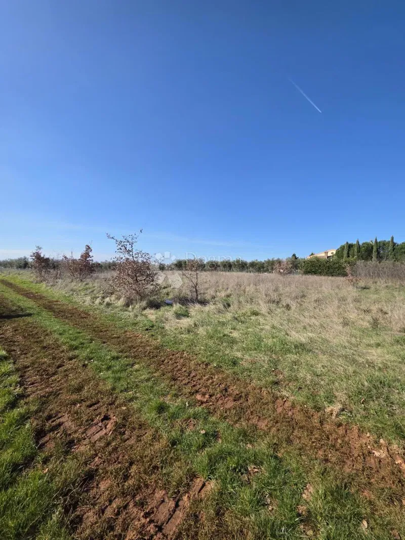 Építési telek Kaštelir, Kaštelir-Labinci, 599m2 – 2