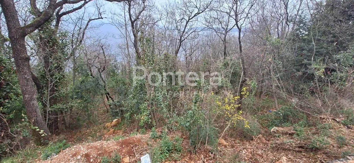 Föld Mošćenička Draga, 1.677m2
