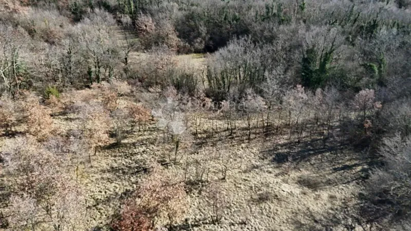 Building land Orbanići, Žminj, 3.000m2 – 2