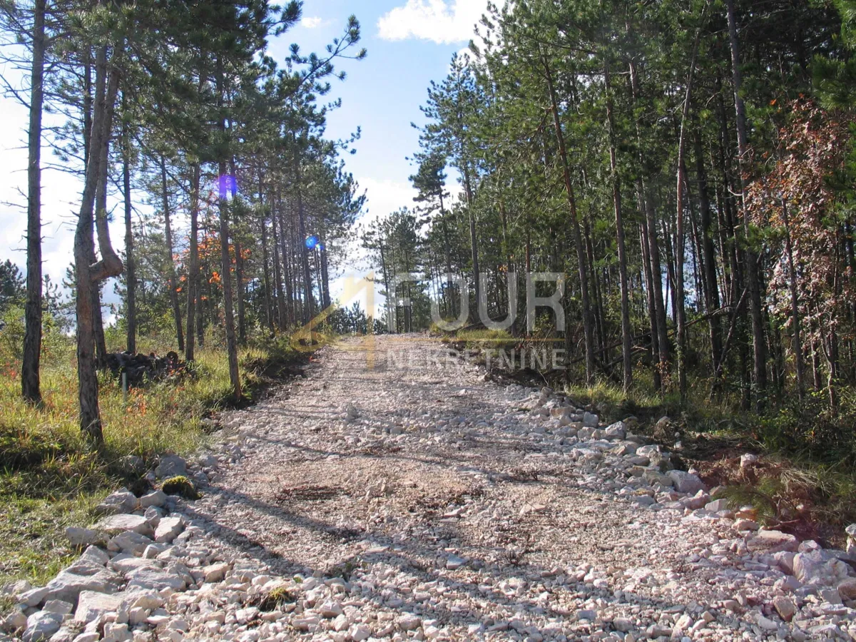 Földrajzi terület Lindar, Pazin - Okolica, 39.091m2