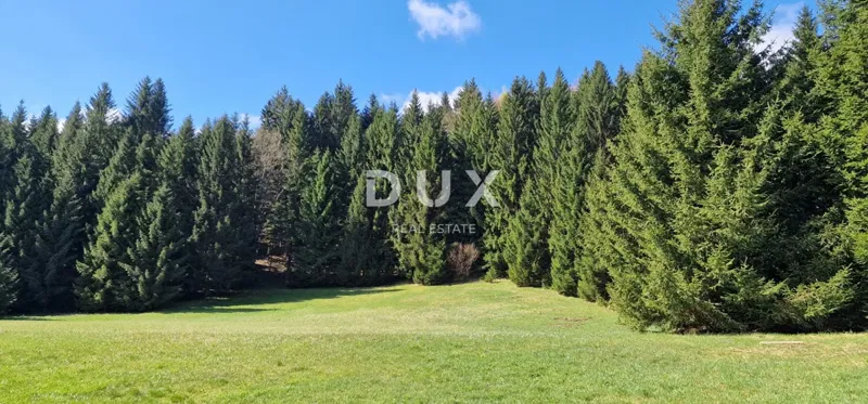 DELNICE, RAVNA GORA - działka o łącznej powierzchni 13400 m2 – 3