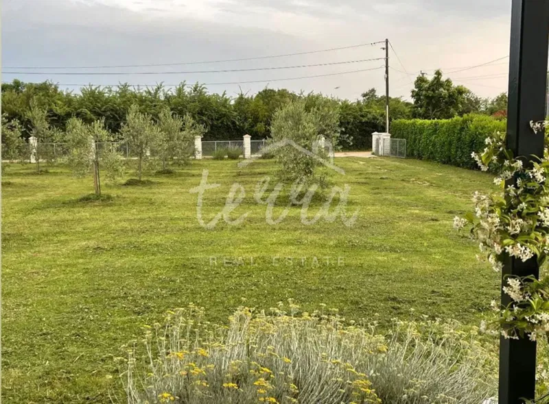 Telek Loborika – 2