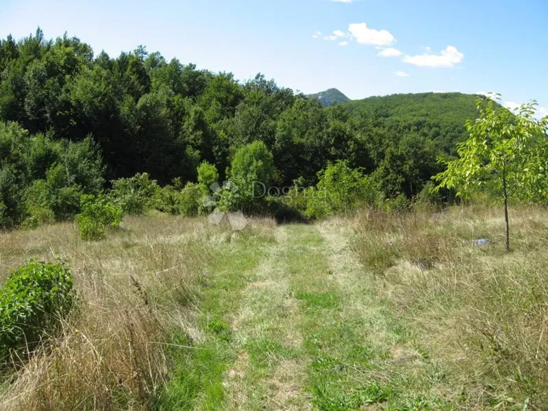 Terreno agricolo Grab, Gračac, 36.000m2 – 2