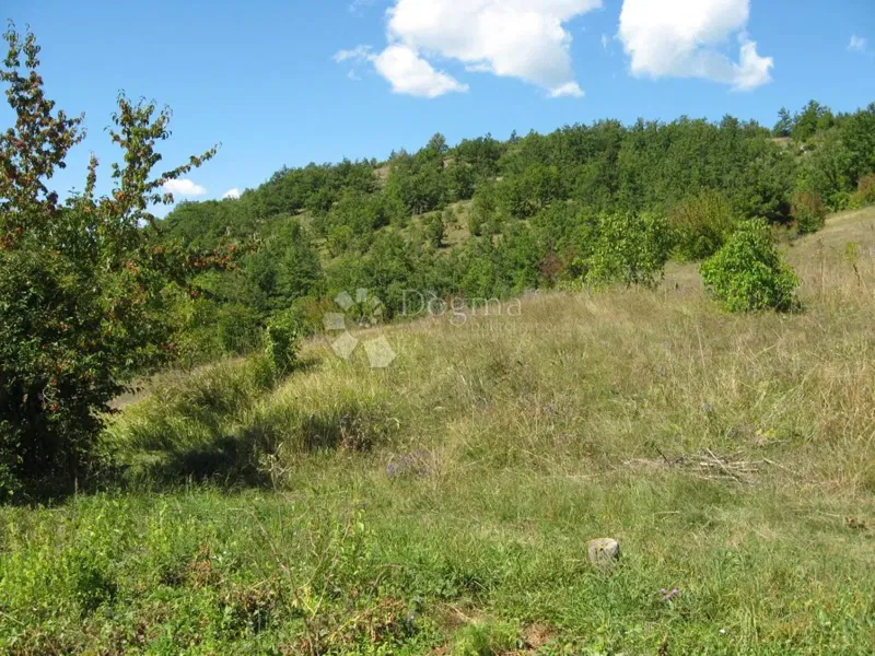 Terreno agricolo Grab, Gračac, 36.000m2 – 3