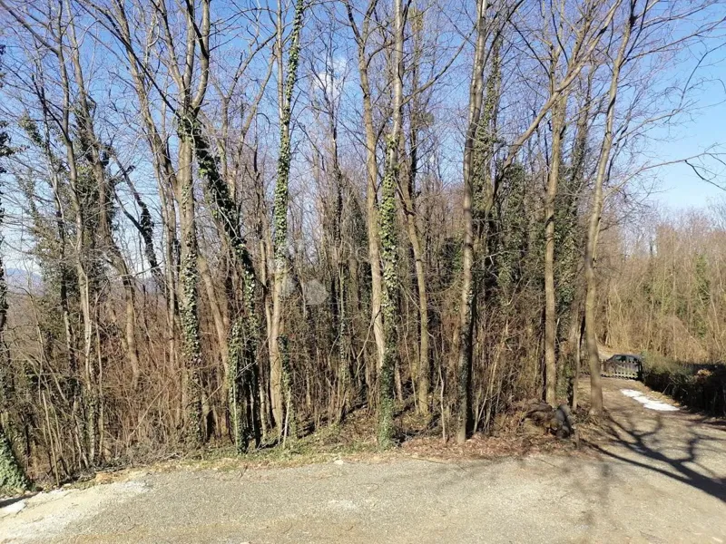 Šuma Paka u Gradišću – 3