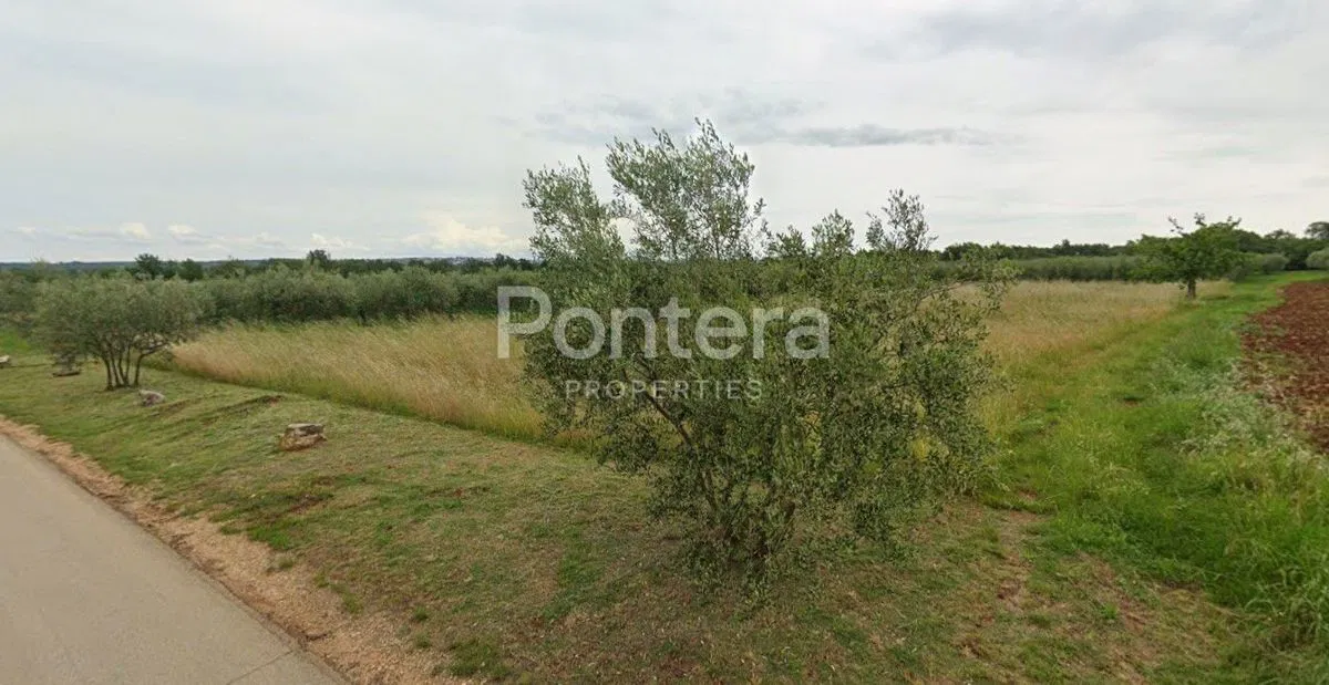 Pôda Tar, Tar-Vabriga, 3.496m2