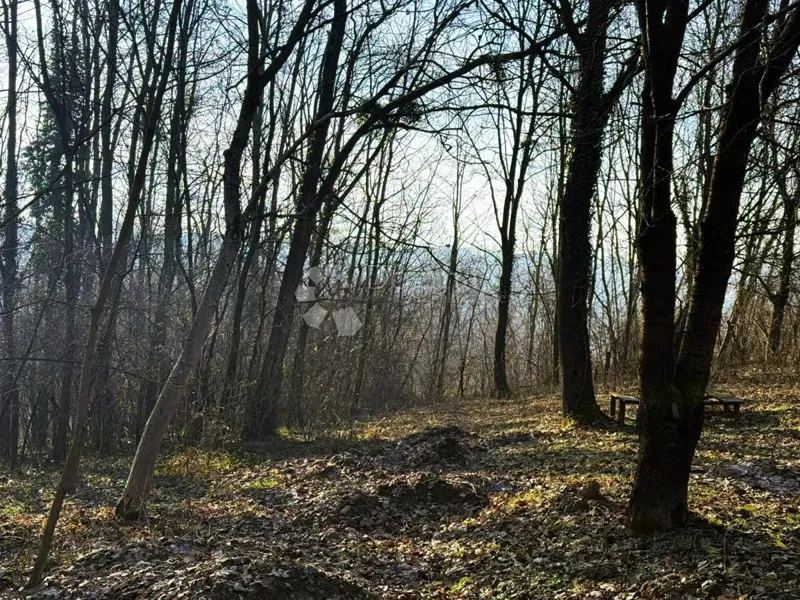 Terreno agricolo Varaždin Breg, Gornji Kneginec, 3.239m2