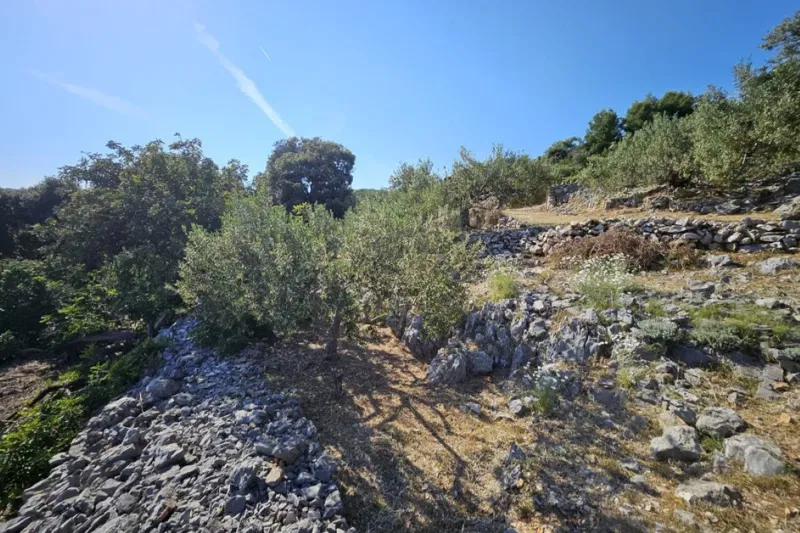 Telek Marina – 3