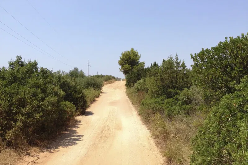 Telek Hvar – 3