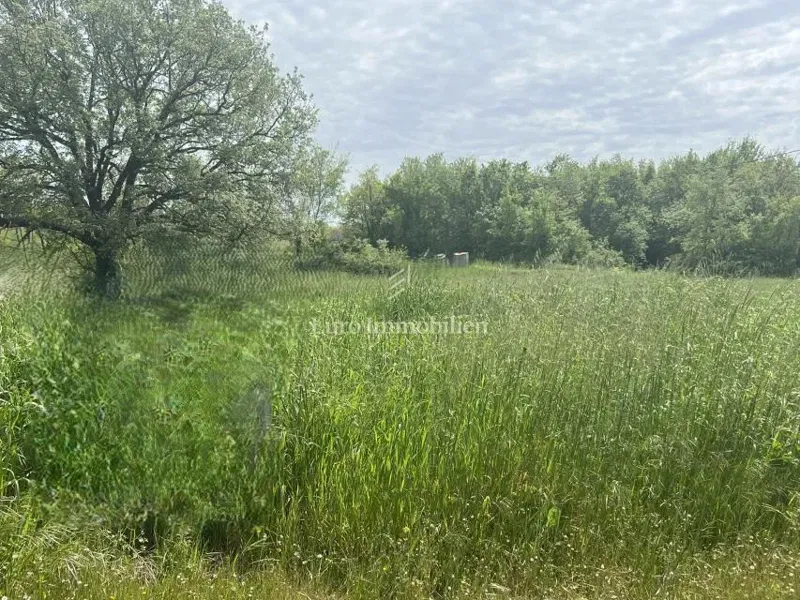 Telek Pavićini – 2