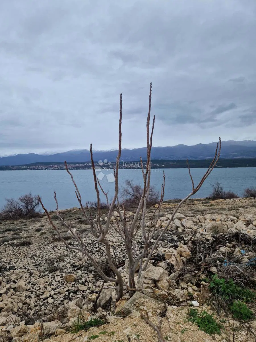 Építési telek Novigrad, 2.376m2