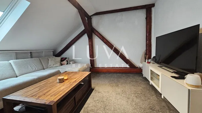 Zagreb, Donji Grad, 4-bed flat with rooftop terrace, sale – 3
