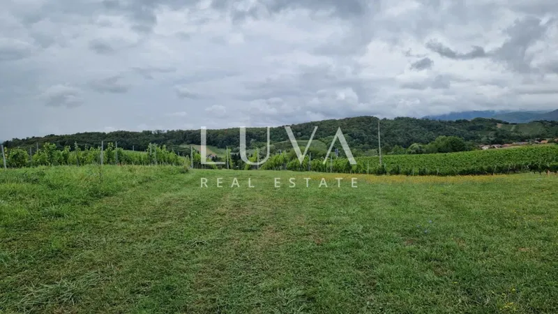 Jastrebarsko, 3000m2 building land for sale – 3