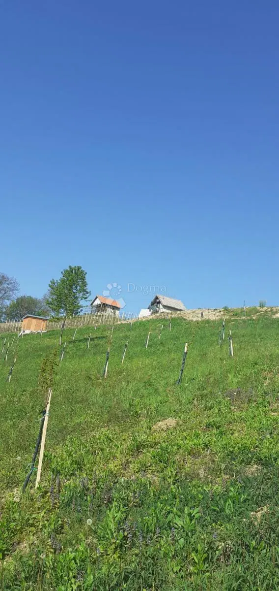 Building land Velika Erpenja, Veliko Trgovišće, 8.518m2 – 3