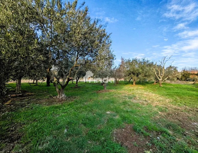 Haus und landwirtschaftliches Anwesen - Rovinj - 4500m2 + (68m2)