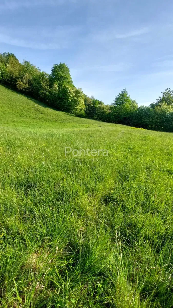 Land Stubica, Vrbovsko, 6.000m2 – 3