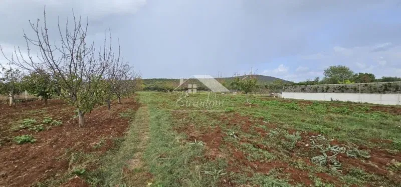 Terreno Debeljak – 3