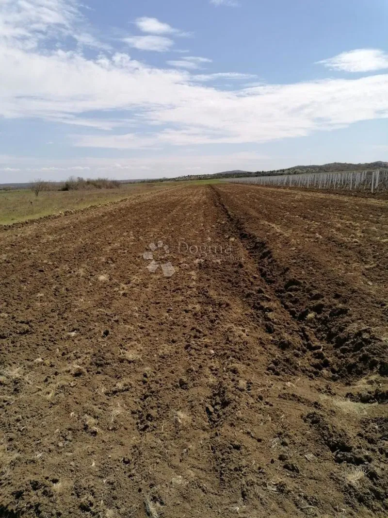 Ziemia rolna Nadin, Benkovac, 16.094m2