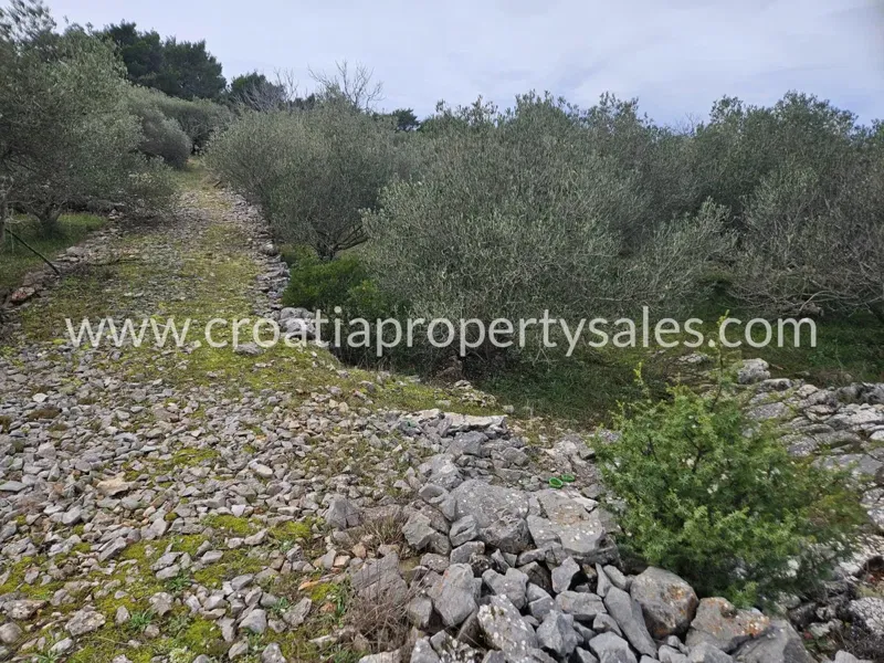 Terreno Hvar – 2