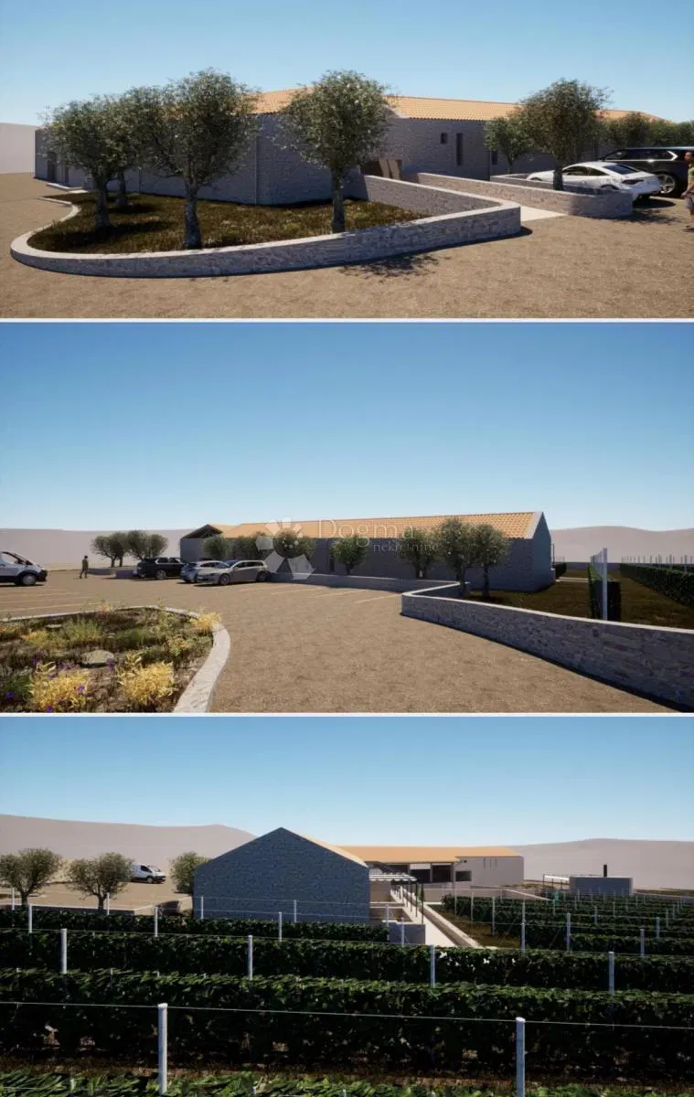 Ziemia rolna Rogoznica, 30.000m2 – 2