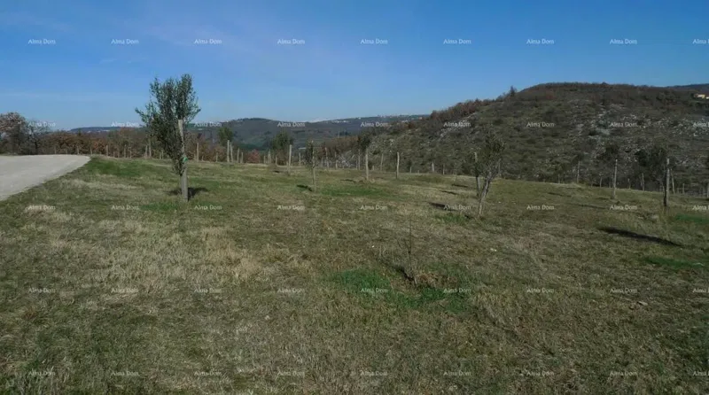 Telek Buje – 3