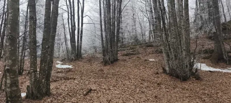Gorski kotar, Ravna Gora zemljište prodaja