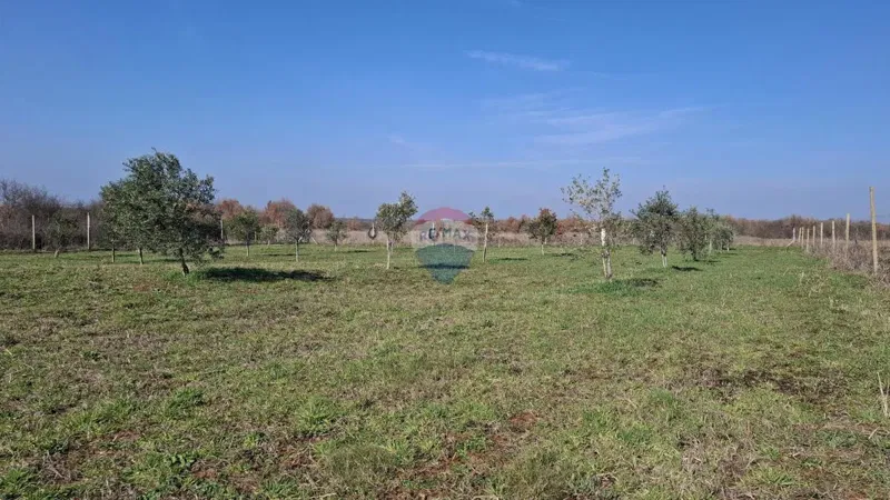 Istra,Novigrad,okolica-Poljoprivredno zemljište 5217 m2