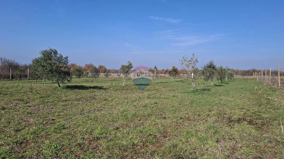 Istria, Kršin, Terreno agricolo 5.217 m²