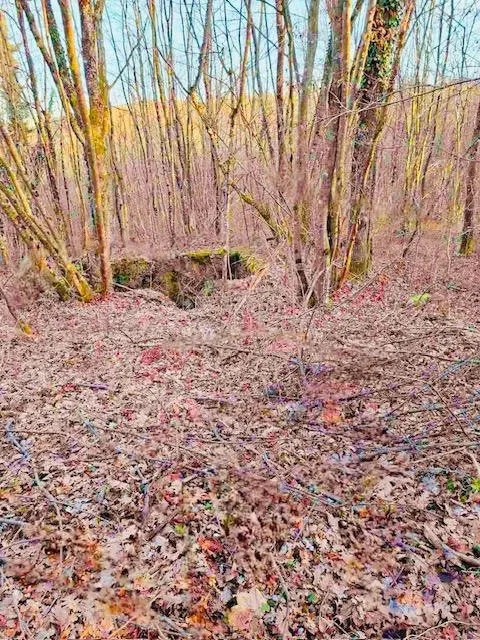 Mezőgazdasági terület Popovo Selo, Ogulin, 7.513m2