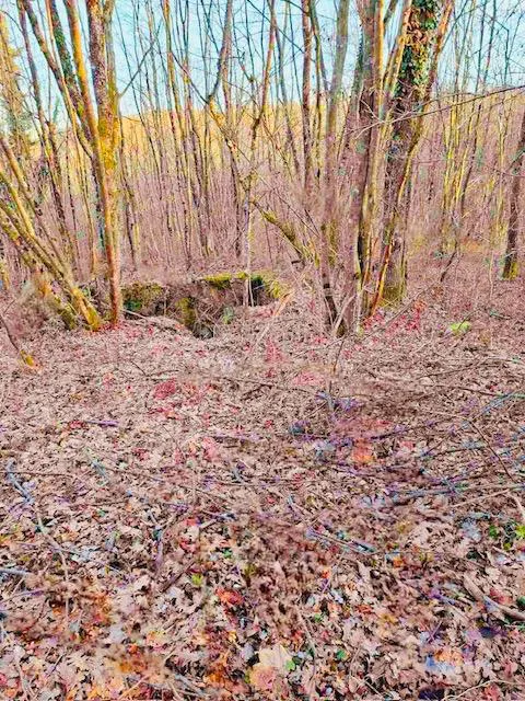 Mezőgazdasági terület Popovo Selo, Ogulin, 7.513m2