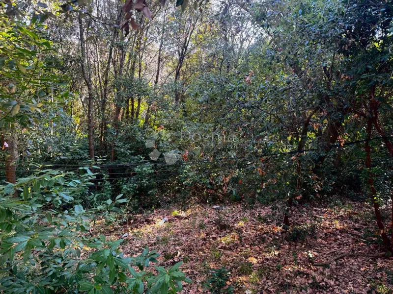 Building land Veruda, Pula, 1.553m2 – 2
