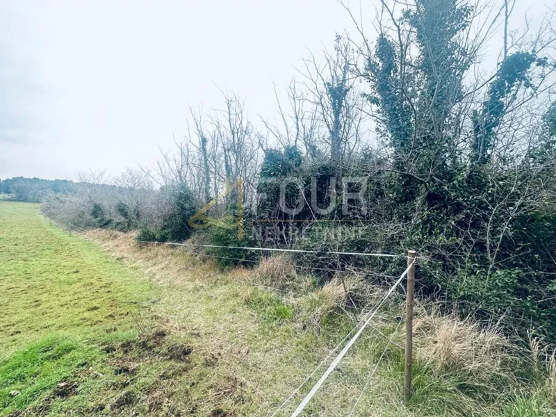 Istria, Liznjan, terreno agricolo, 1.899m2 – 2