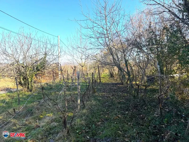 Telek Labin – 3