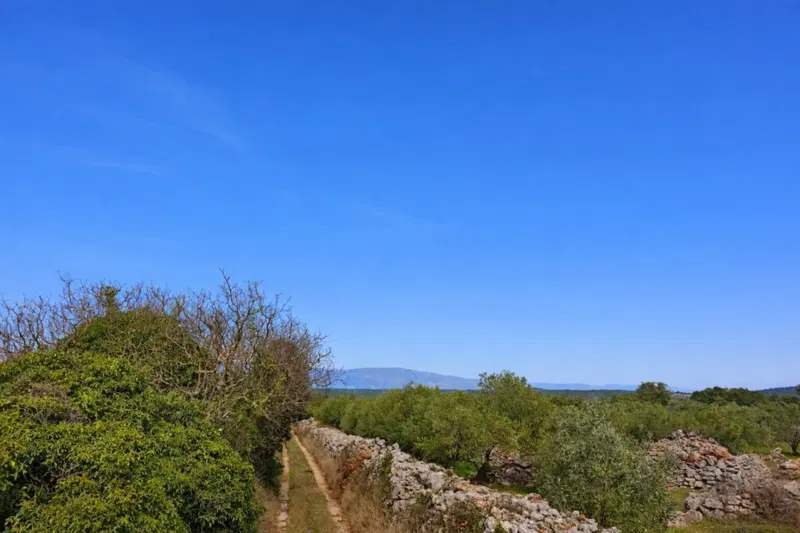 Terreno agricolo in zona UNESCO – 3
