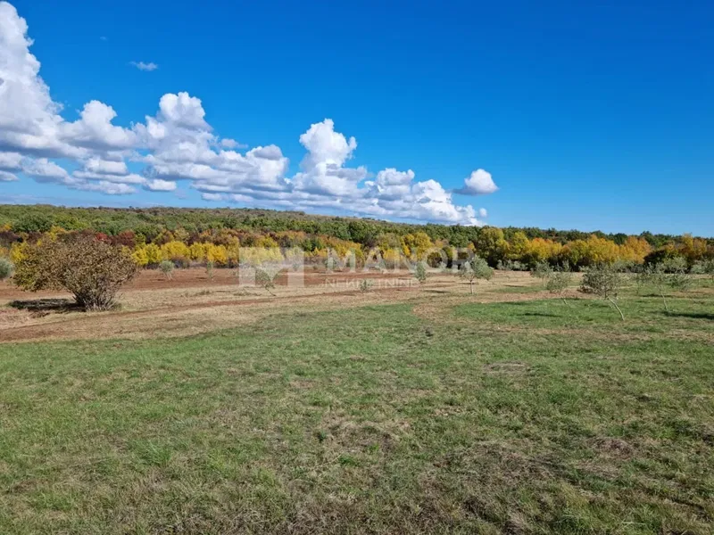 Building land Jural, Kanfanar, 11.440m2 – 2